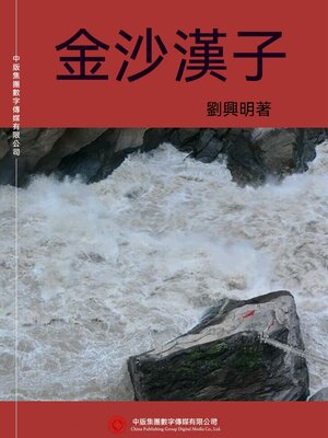 cover image of 金沙漢子